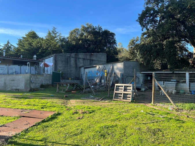 Moradia T4 para Venda em Salgueiro do Campo Foto 36