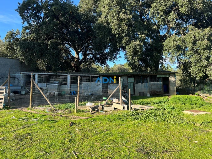 Moradia T4 para Venda em Salgueiro do Campo Foto 40