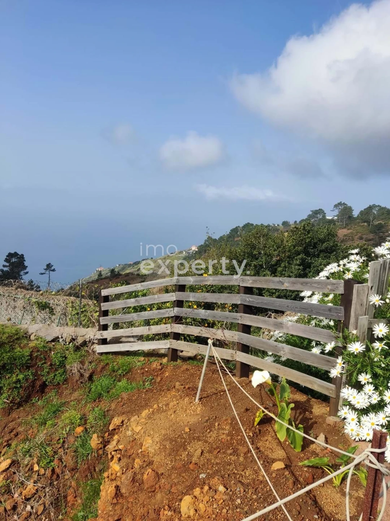 Terreno para Venda em Porto Santo Foto 7