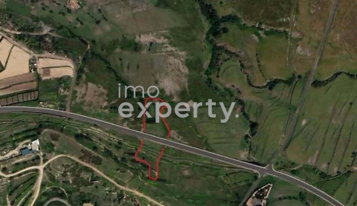 Terreno para Venda em Porto Santo Foto 5