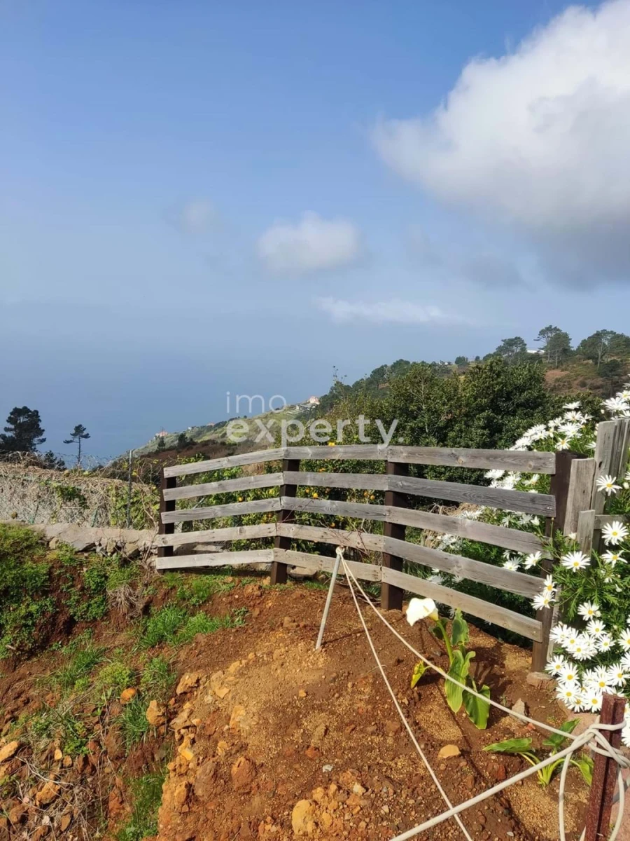 Terreno para Venda em Porto Santo Foto 7