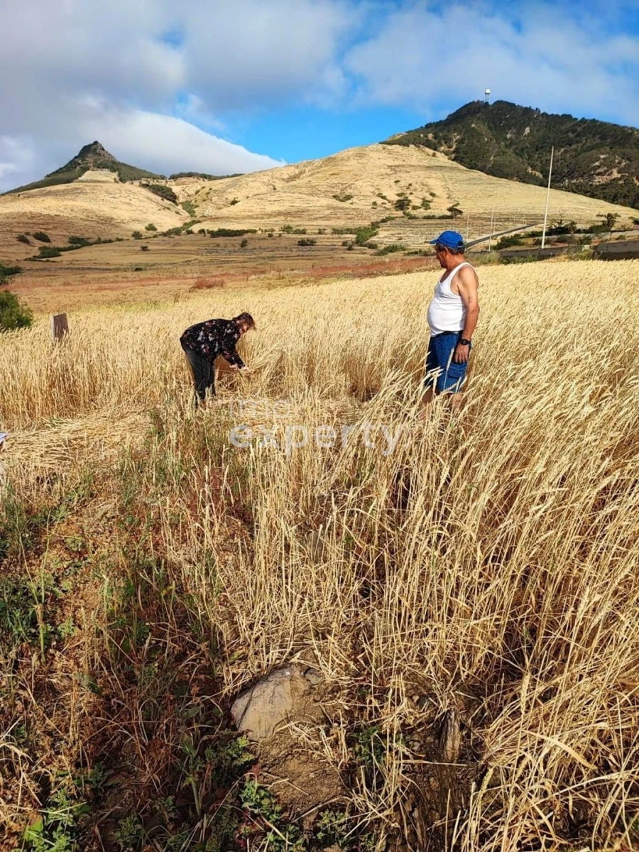 Terreno para Venda em Porto Santo Foto 3