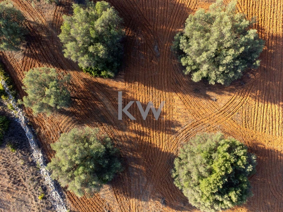 Terreno para Venda em Boliqueime Foto 35