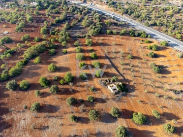 Terreno para Venda em Boliqueime