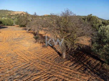 Terreno para Venda em Boliqueime