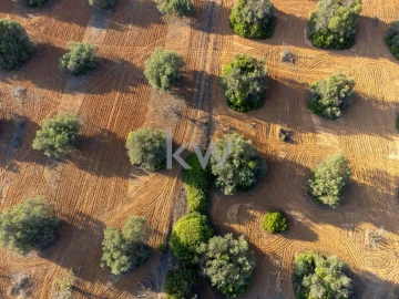 Terreno para Venda em Boliqueime