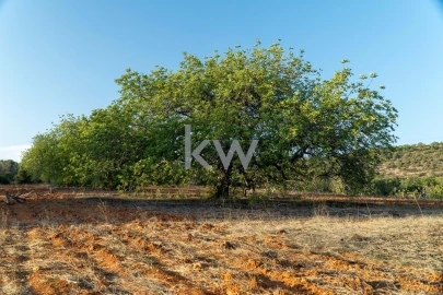 Terreno para Venda em Boliqueime