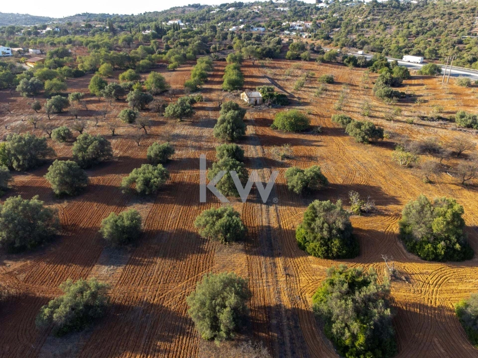Terreno para Venda em Boliqueime Foto 23