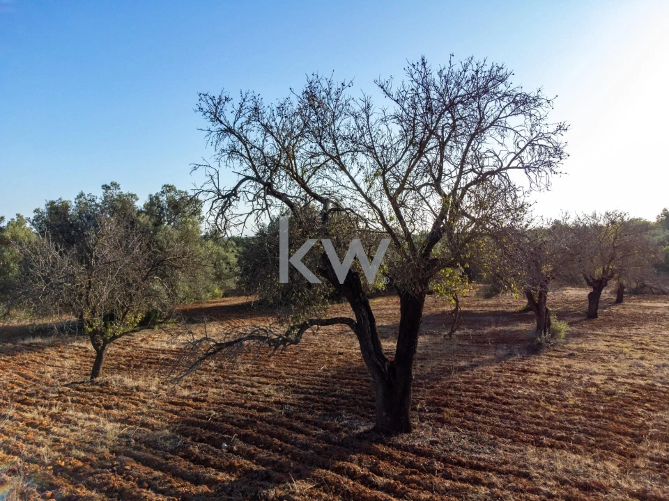 Terreno para Venda em Boliqueime Foto 28