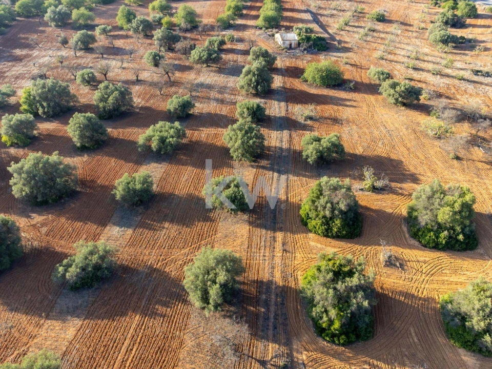 Terreno para Venda em Boliqueime Foto 16