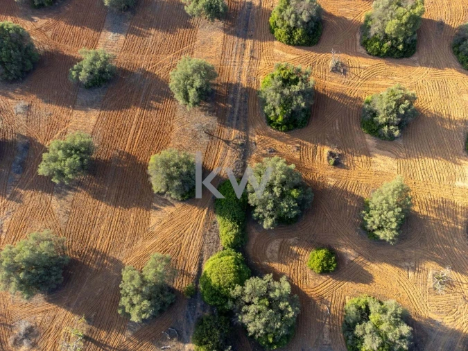 Terreno para Venda em Boliqueime Foto 37