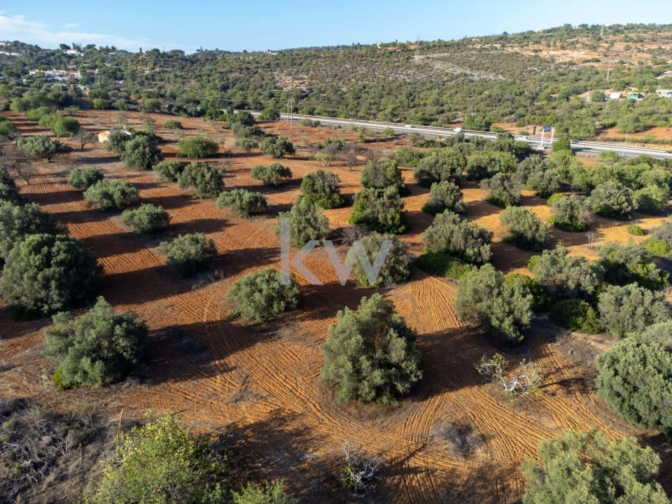 Terreno para Venda em Boliqueime Foto 19