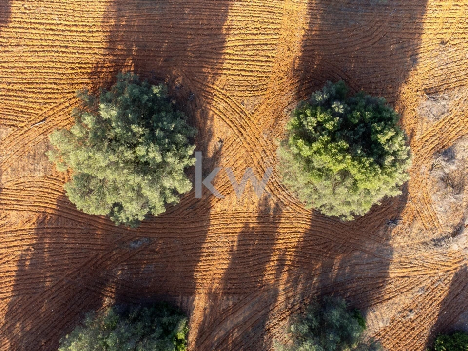 Terreno para Venda em Boliqueime Foto 36