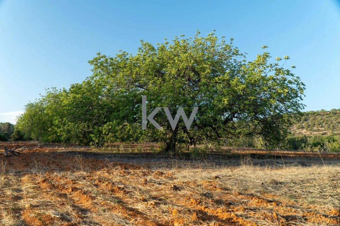 Terreno para Venda em Boliqueime Foto 27