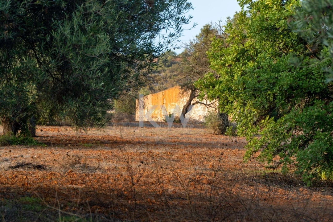 Terreno para Venda em Boliqueime Foto 9