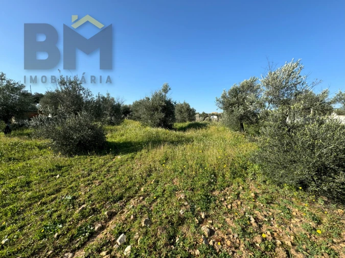 Terreno Agricola ou Rústico para Venda em Toulões Foto 20
