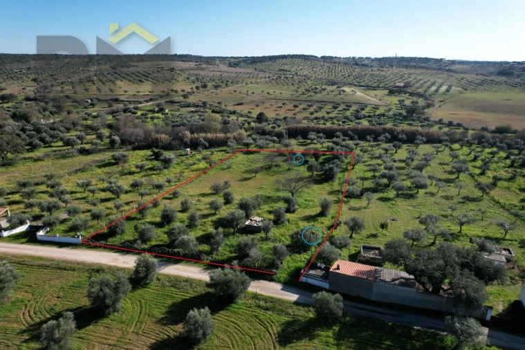 Terreno Agricola ou Rústico para Venda em Toulões Foto 2