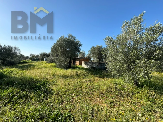 Terreno Agricola ou Rústico para Venda em Toulões Foto 19