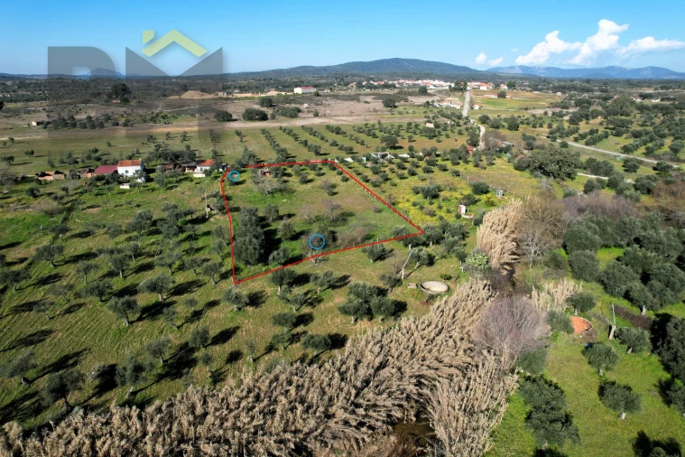 Terreno Agricola ou Rústico para Venda em Toulões Foto 3