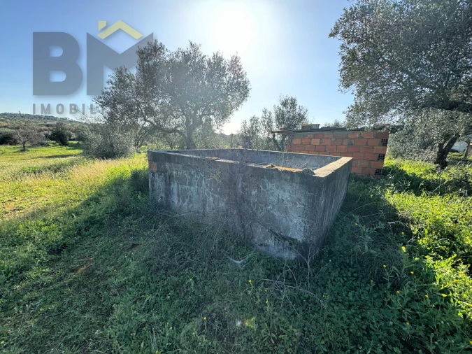 Terreno Agricola ou Rústico para Venda em Toulões Foto 18