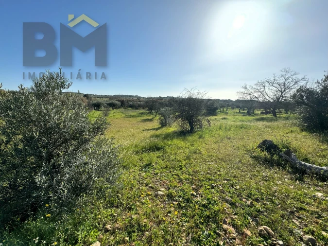 Terreno Agricola ou Rústico para Venda em Toulões Foto 22