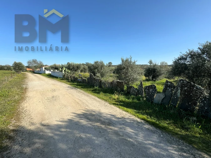 Terreno Agricola ou Rústico para Venda em Toulões Foto 9
