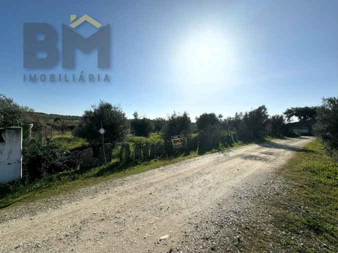 Terreno Agricola ou Rústico para Venda em Toulões Foto 6