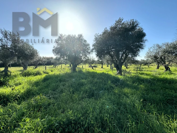 Terreno Agricola ou Rústico para Venda em Toulões Foto 27