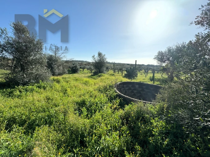 Terreno Agricola ou Rústico para Venda em Toulões Foto 10