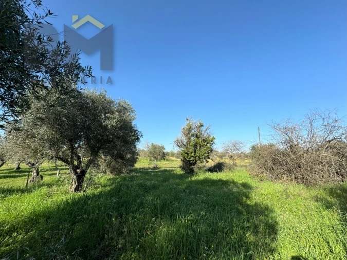 Terreno Agricola ou Rústico para Venda em Toulões Foto 28