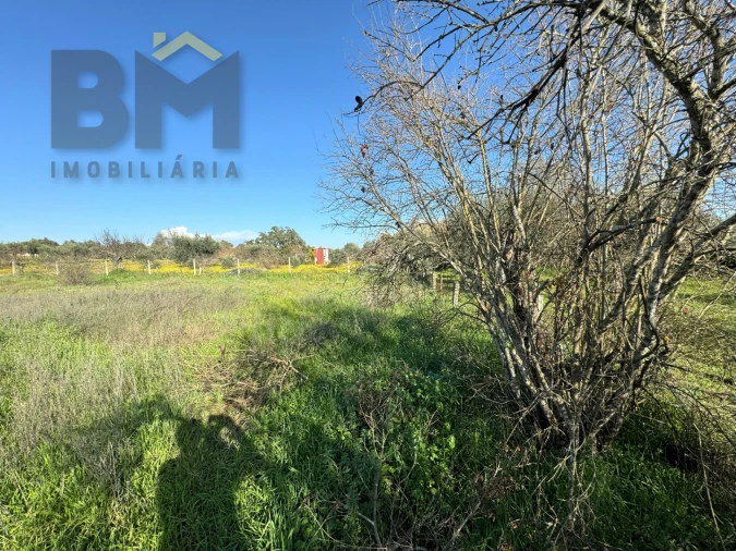 Terreno Agricola ou Rústico para Venda em Toulões Foto 26