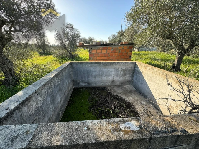 Terreno Agricola ou Rústico para Venda em Toulões Foto 16