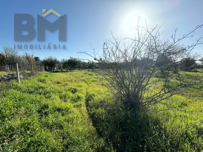 Terreno Agricola ou Rústico para Venda em Toulões Foto 25