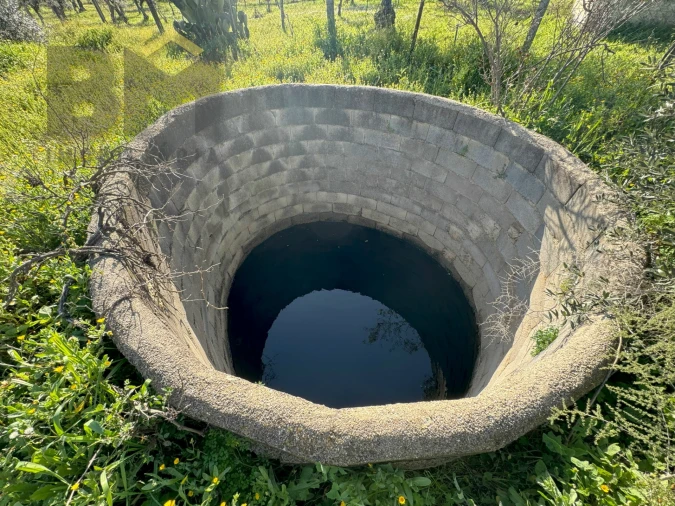 Terreno Agricola ou Rústico para Venda em Toulões Foto 11