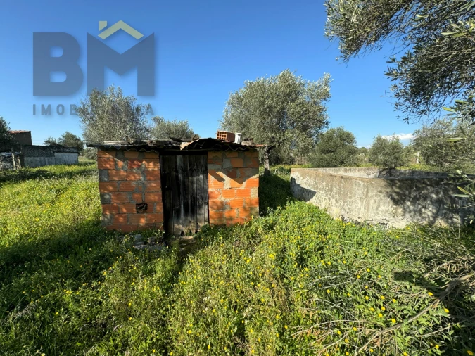 Terreno Agricola ou Rústico para Venda em Toulões Foto 13