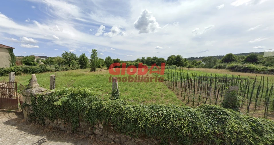 Terreno Agricola ou Rústico para Venda em Queiriga Foto 2