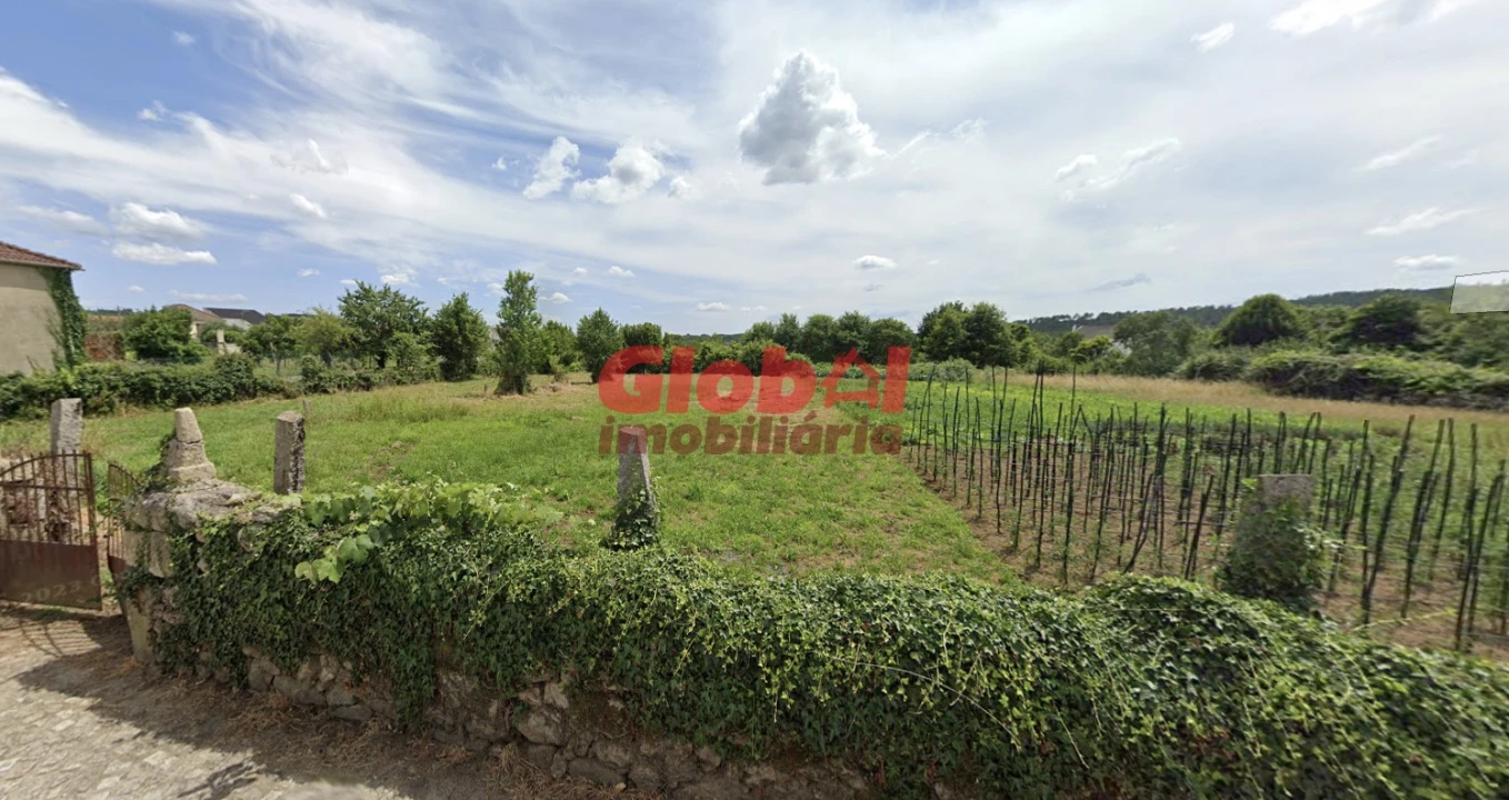 Terreno Agricola ou Rústico para Venda em Queiriga Foto 2
