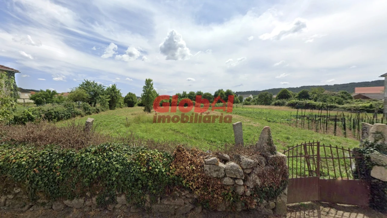 Terreno Agricola ou Rústico para Venda em Queiriga Foto 1