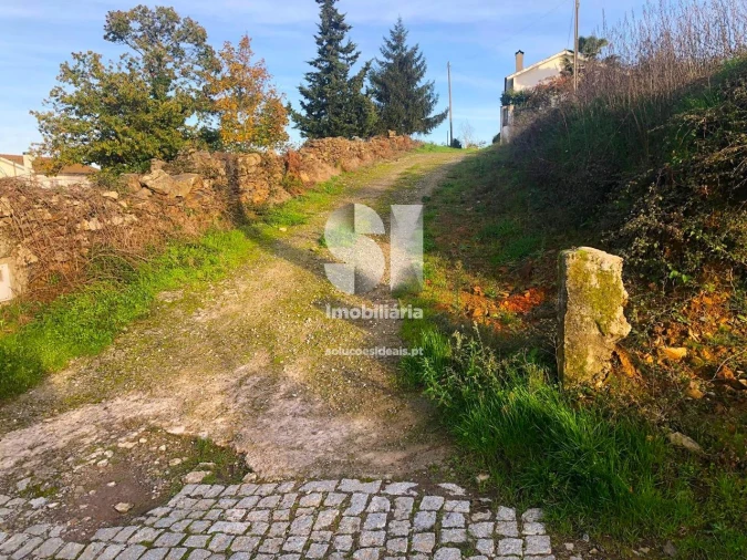 Terreno para Venda em Paços Foto 10