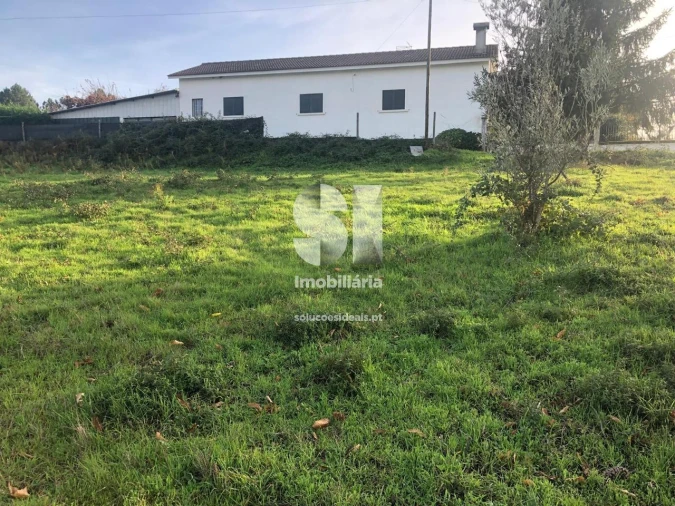 Terreno para Venda em Paços Foto 6