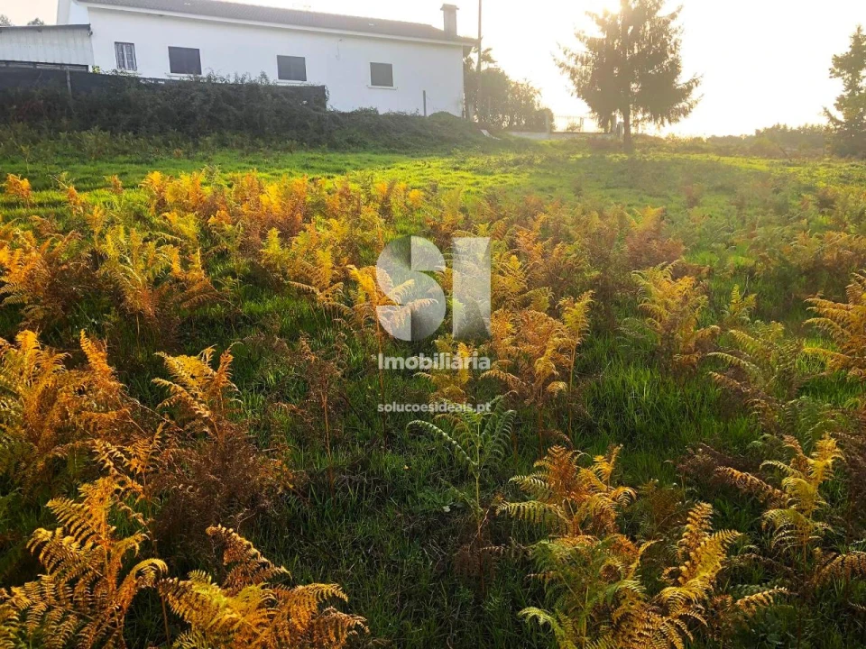 Terreno para Venda em Paços Foto 4