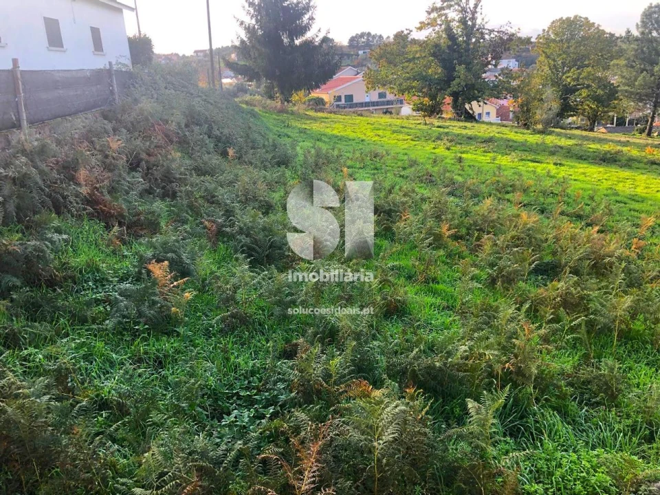 Terreno para Venda em Paços Foto 5