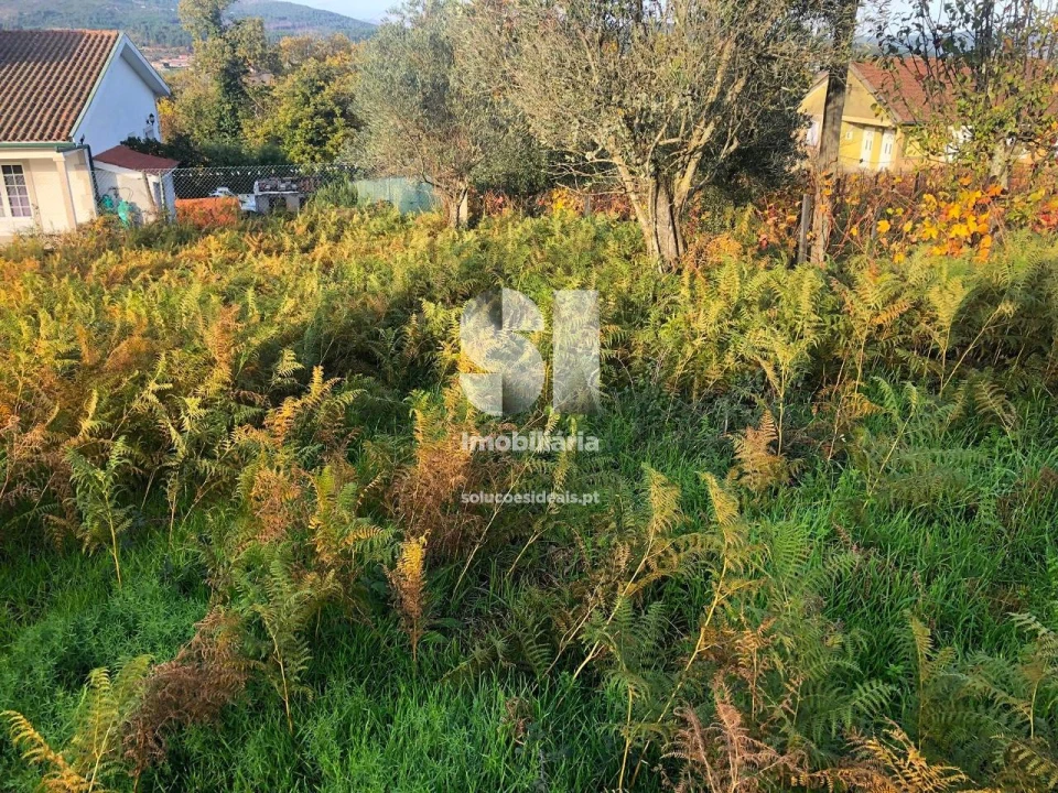 Terreno para Venda em Paços Foto 7