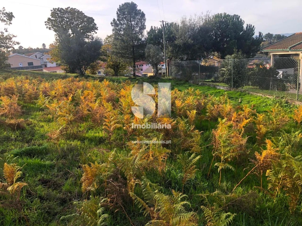 Terreno para Venda em Paços Foto 1