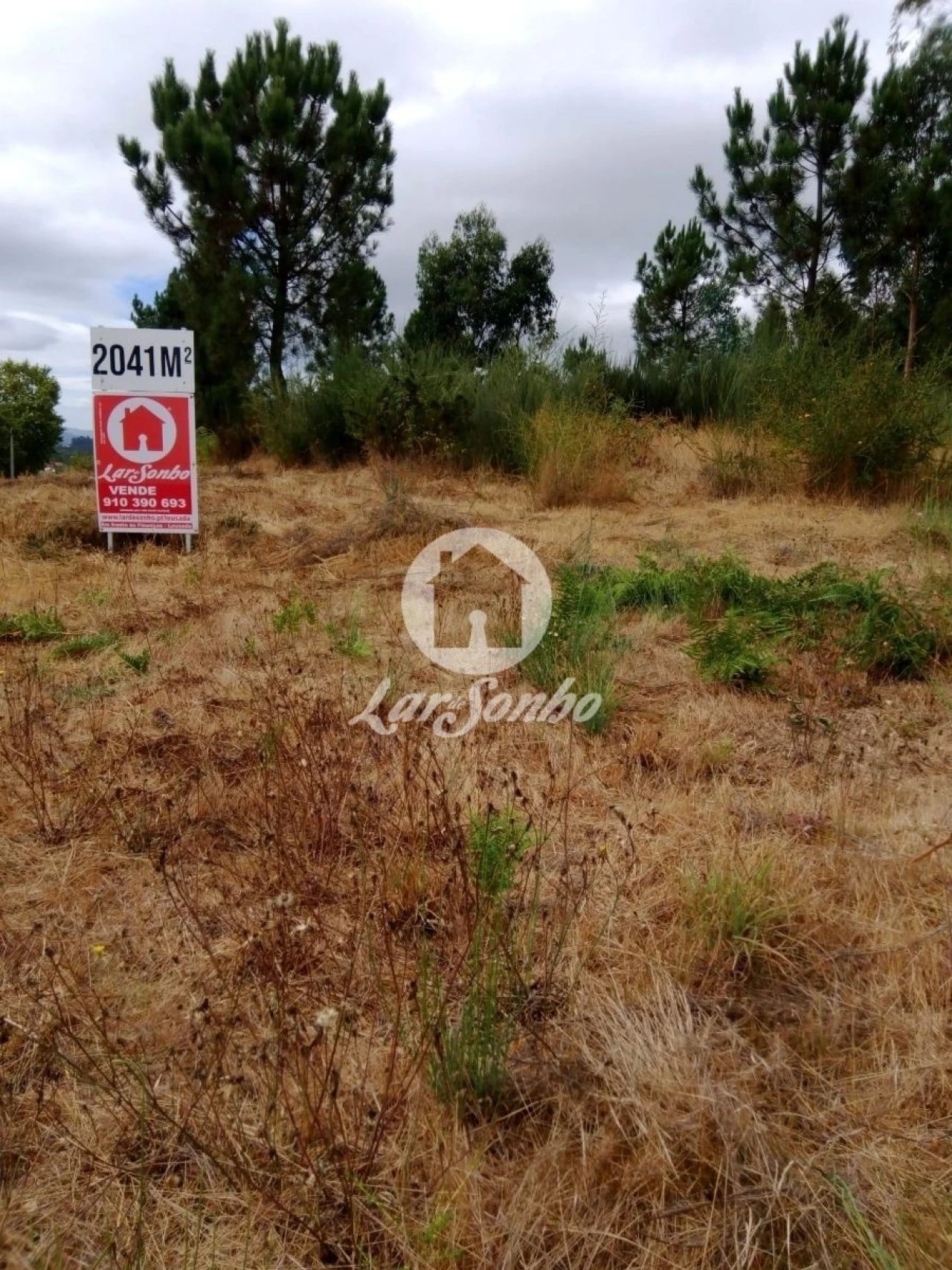 Terreno Agricola ou Rústico para Venda em Travanca Foto 1
