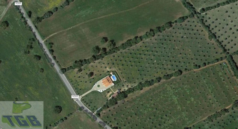 Quinta T3 para Venda em Cabeço de Vide Foto 23