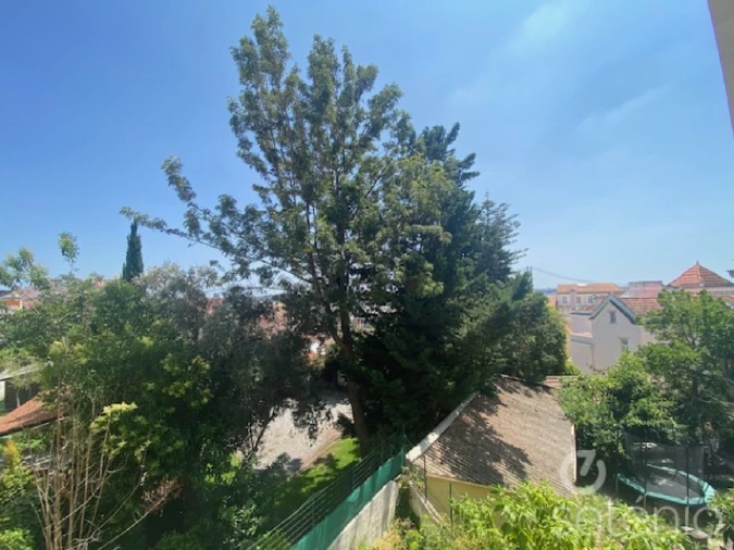 Apartamento T2 para Venda em Estrela