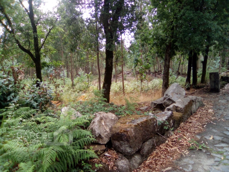 Terreno para Venda em Remelhe Foto 5