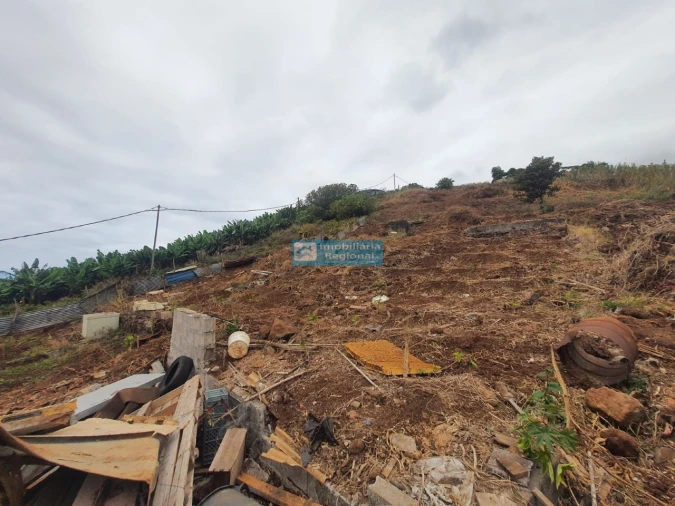 Terreno para Venda em São Martinho Foto 3