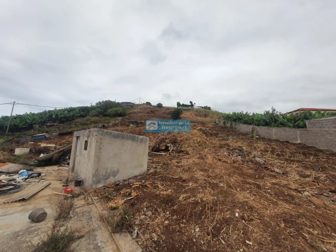 Terreno para Venda em São Martinho Foto 5